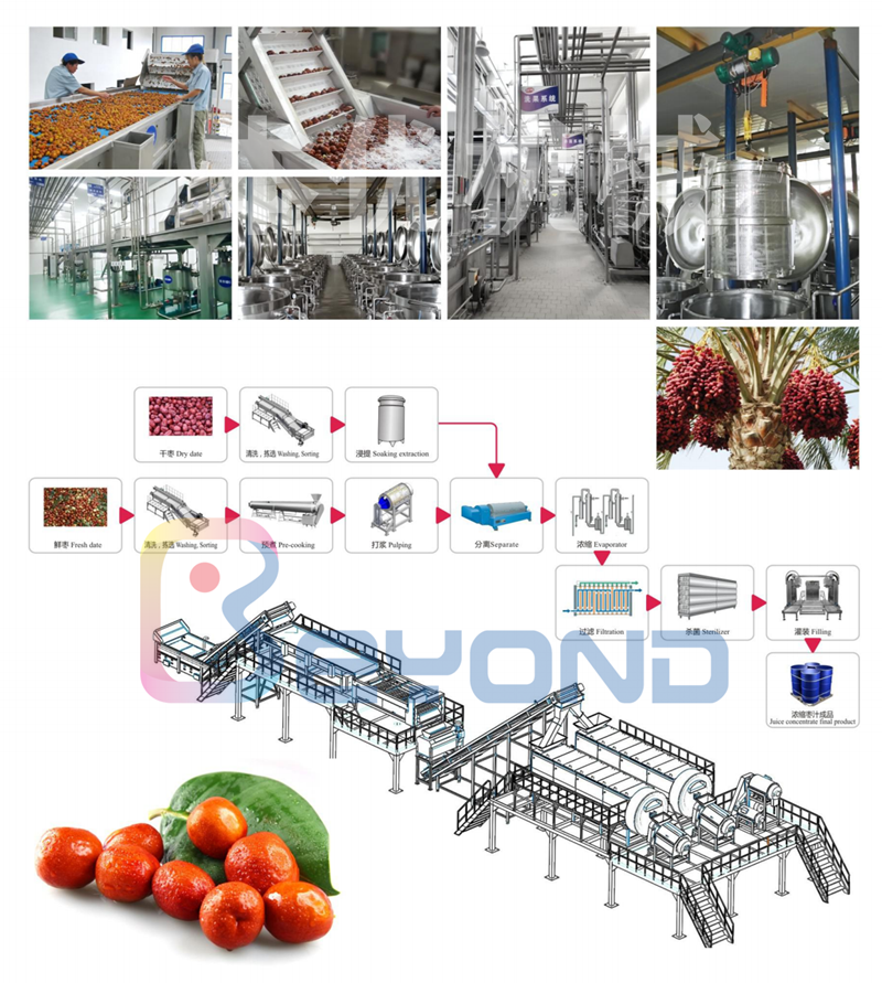 1627033159718381.png 3,2019果蔬综合样本_04_副本.png